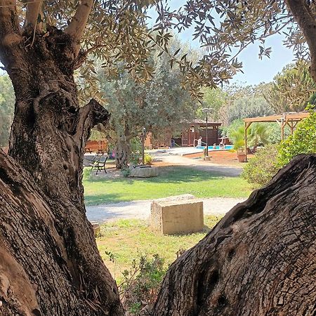Entre Viejos Olivos Villa Benicolet Екстериор снимка