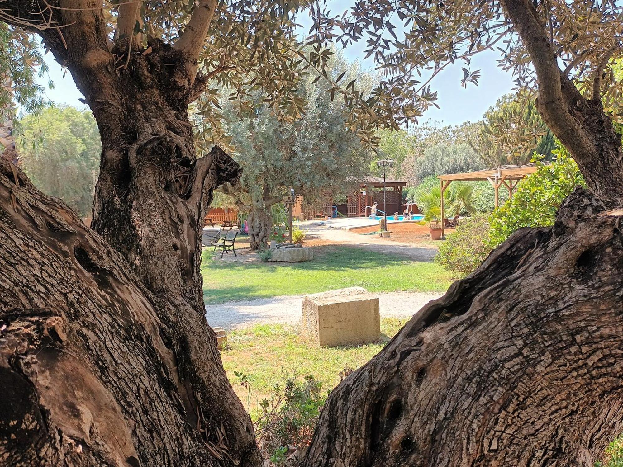 Entre Viejos Olivos Villa Benicolet Екстериор снимка