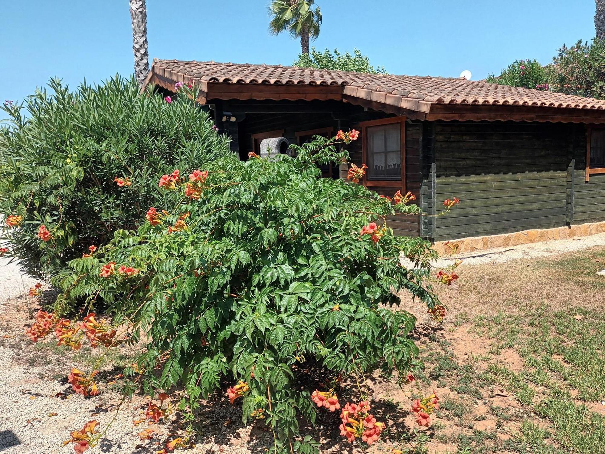 Entre Viejos Olivos Villa Benicolet Екстериор снимка