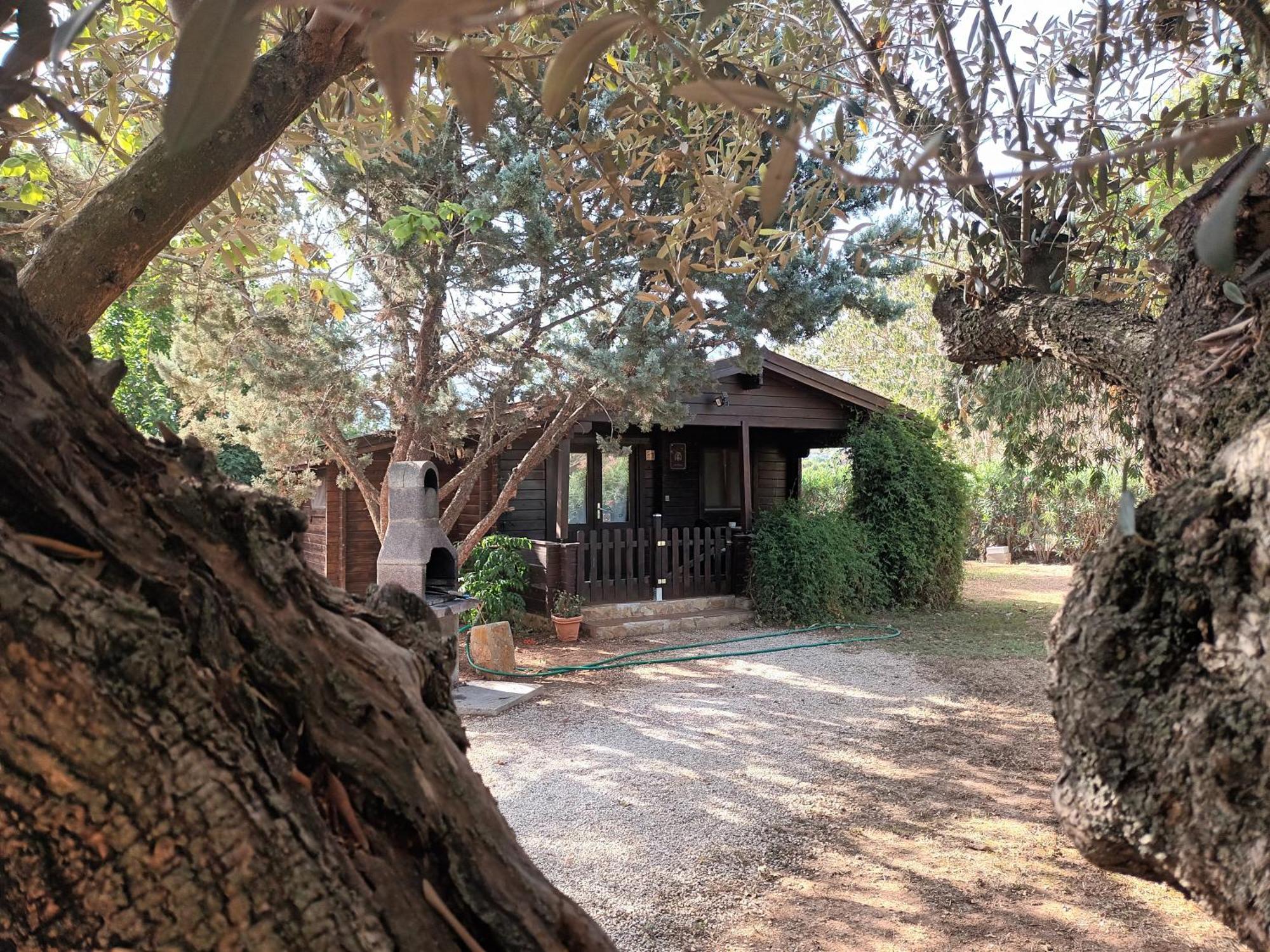 Entre Viejos Olivos Villa Benicolet Екстериор снимка