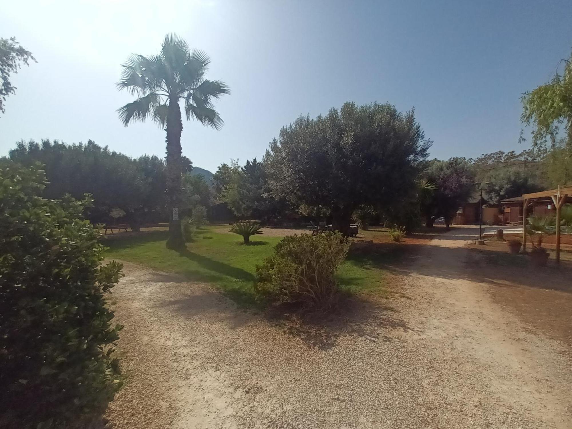 Entre Viejos Olivos Villa Benicolet Екстериор снимка