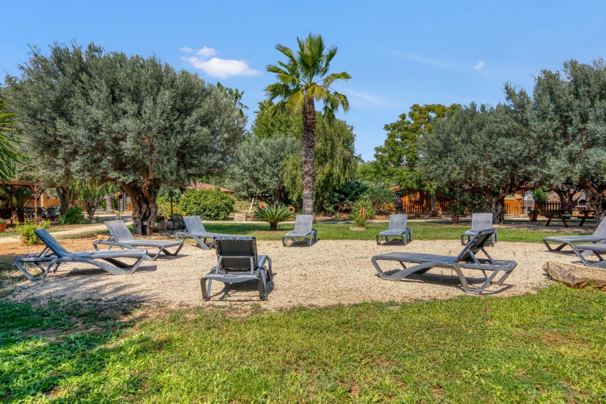 Entre Viejos Olivos Villa Benicolet Екстериор снимка