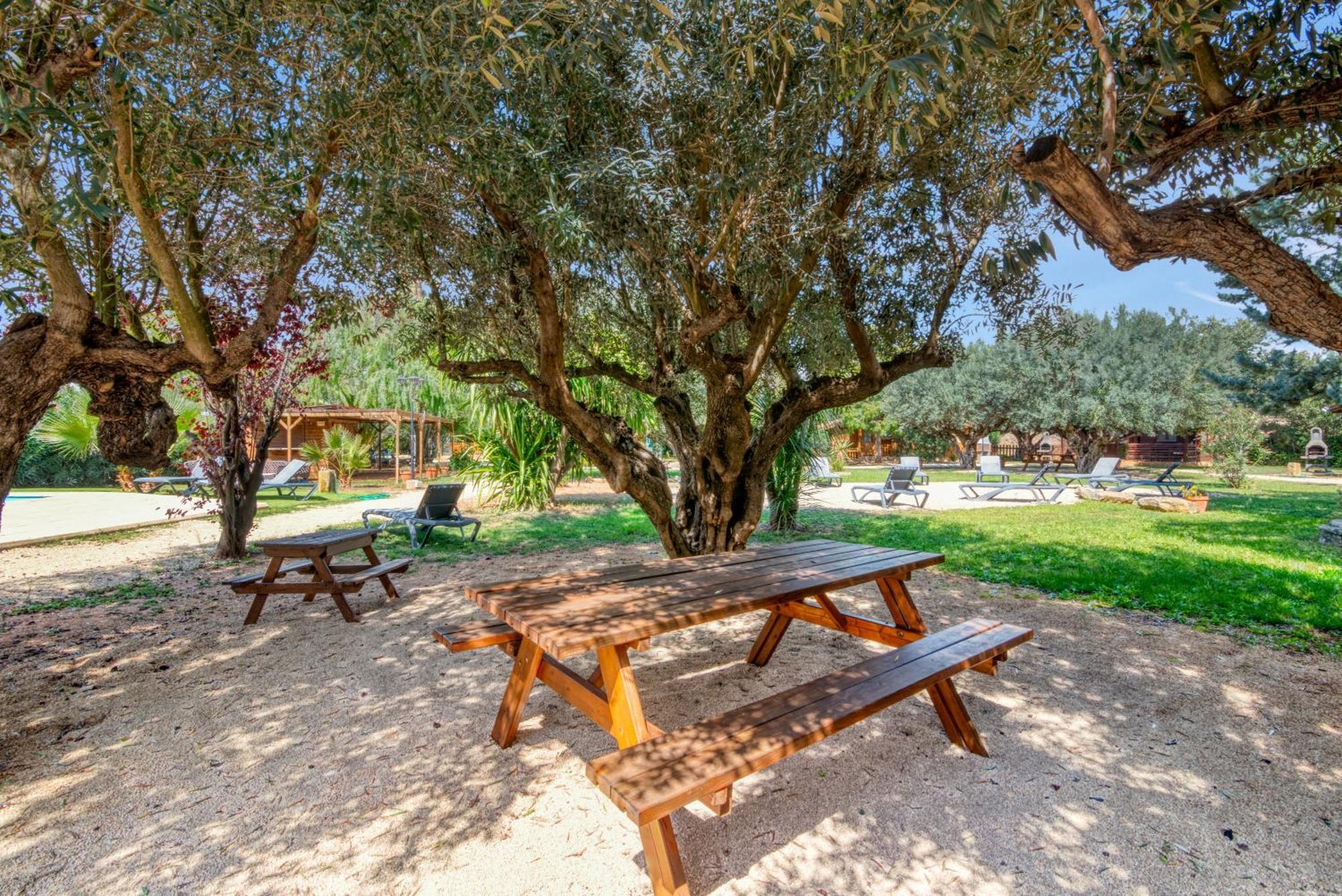 Entre Viejos Olivos Villa Benicolet Екстериор снимка
